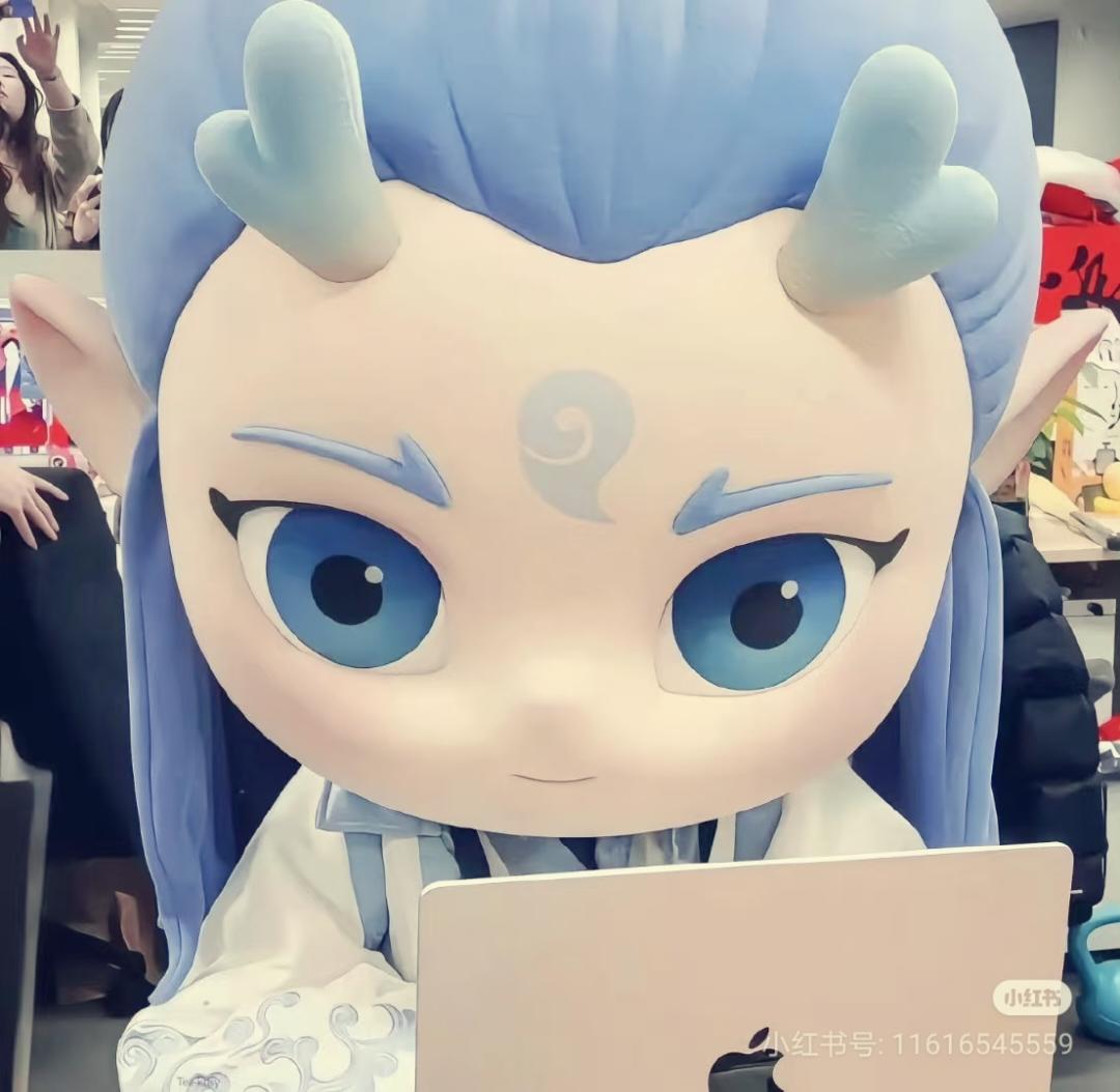 在武夷山翱翔的盖浇饭