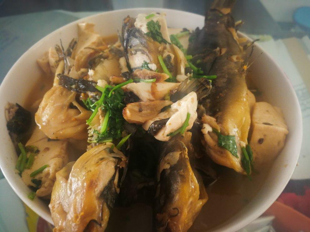 黄刺鱼烧豆腐