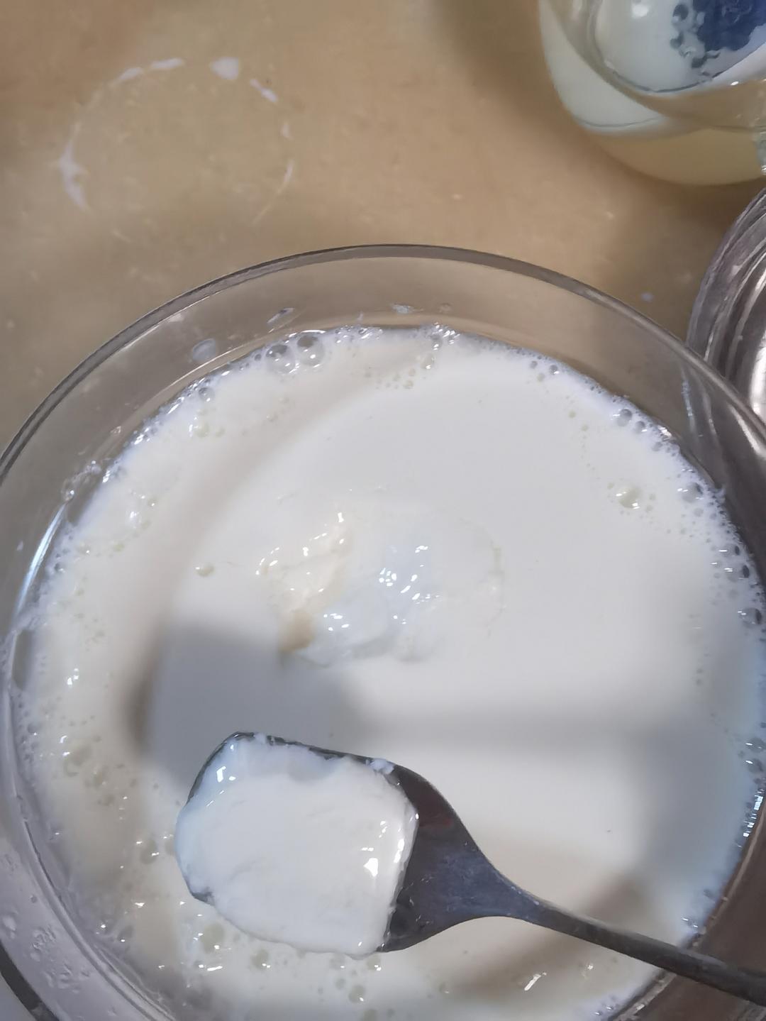 姜撞奶（传统制法，附失败解决方案）