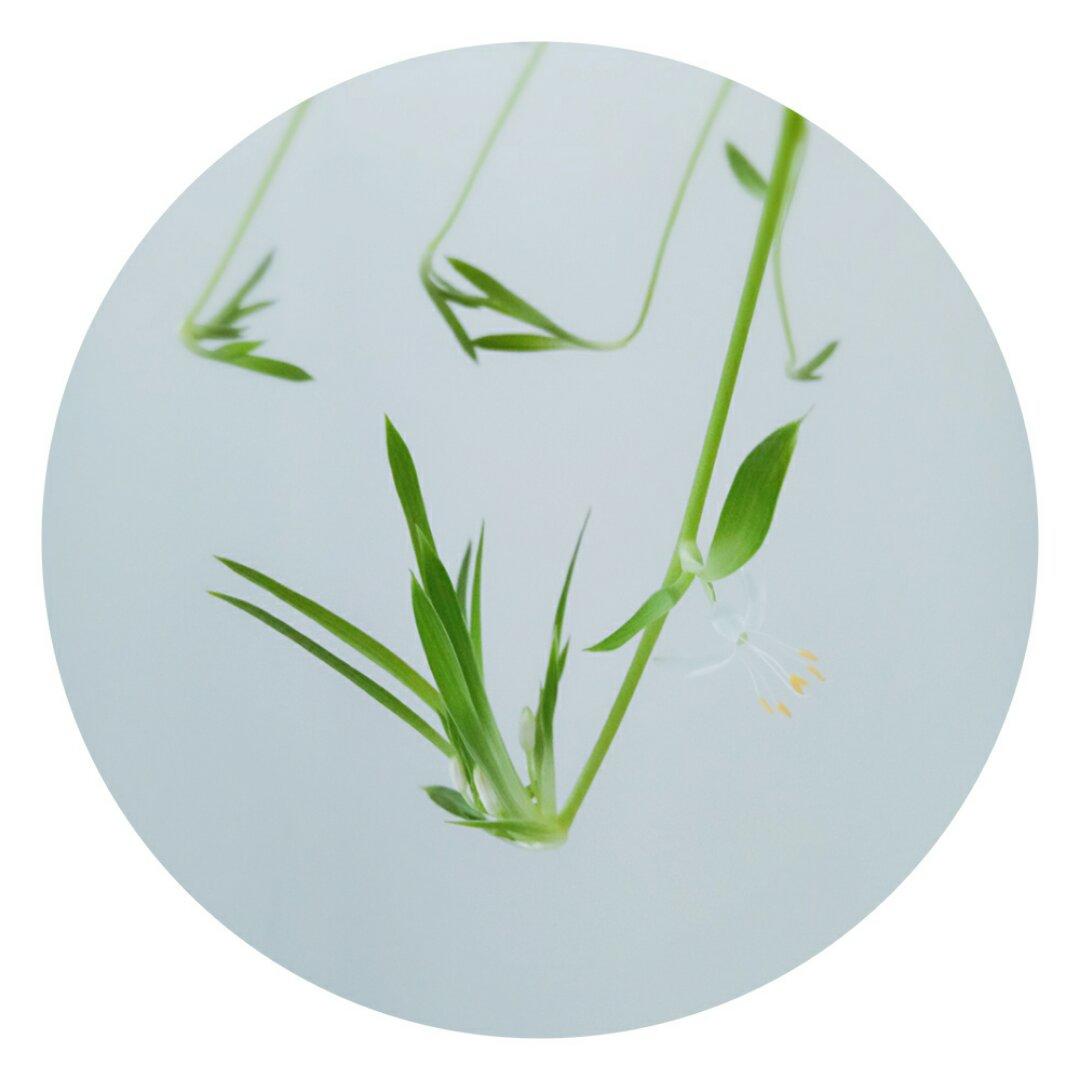 溜溜21