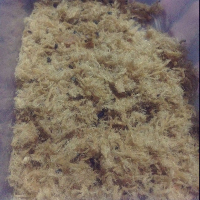 面包机自制肉松