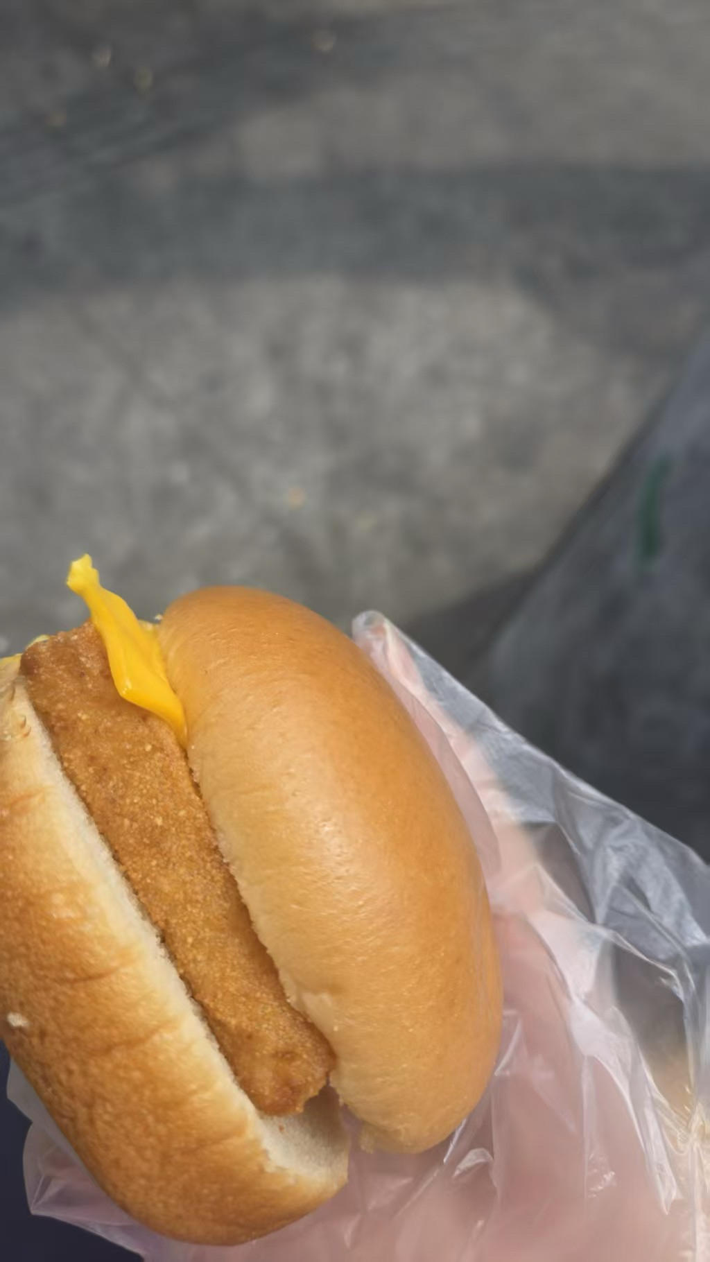 午餐•2026年3月24日