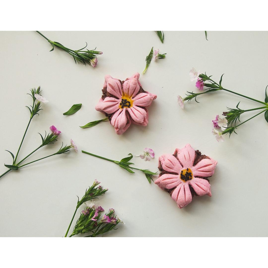 2017 从春约到冬