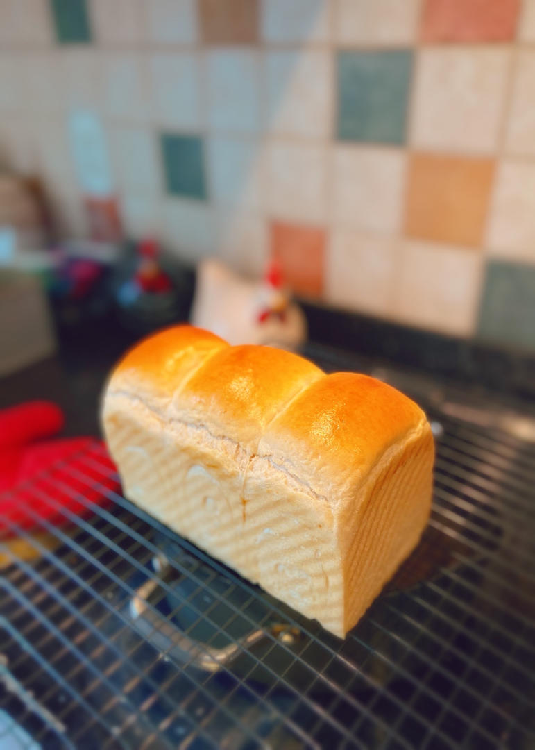 简单健康｜20%全麦牛角包（中种，低糖）