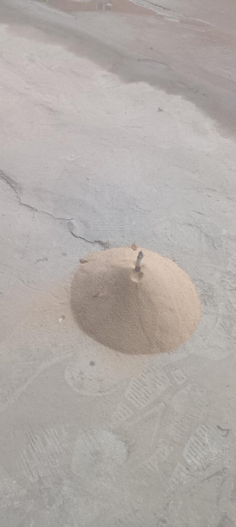 何以解忧唯有美女