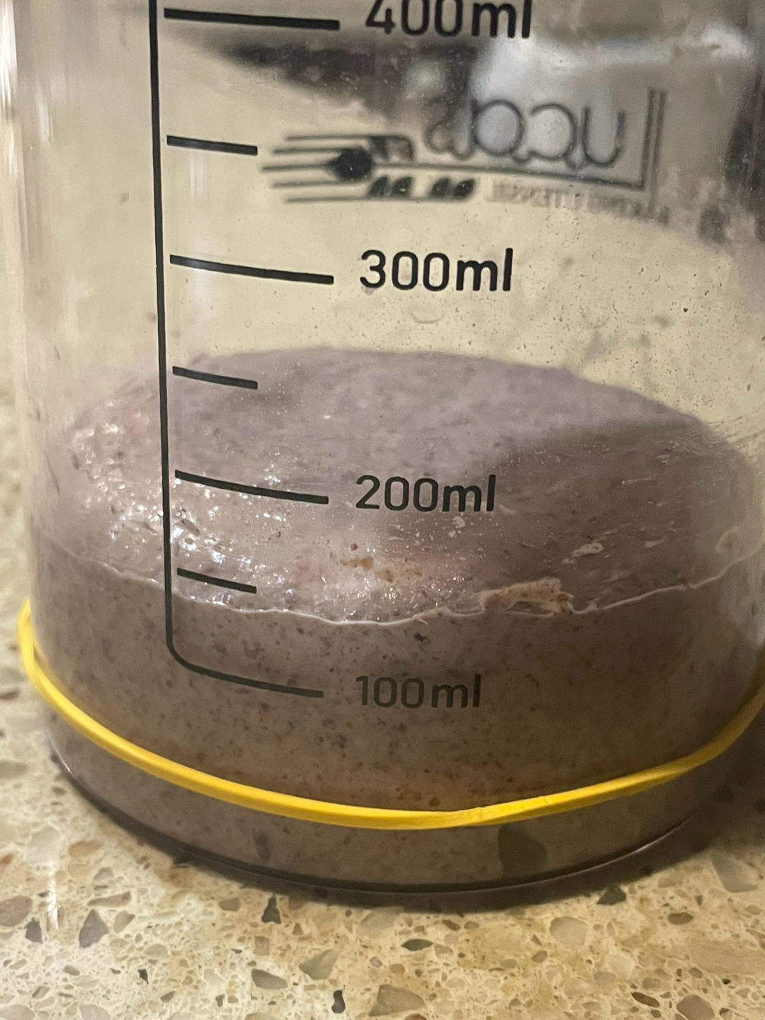 天然酵种、鲁邦种         （黑裸麦起种）