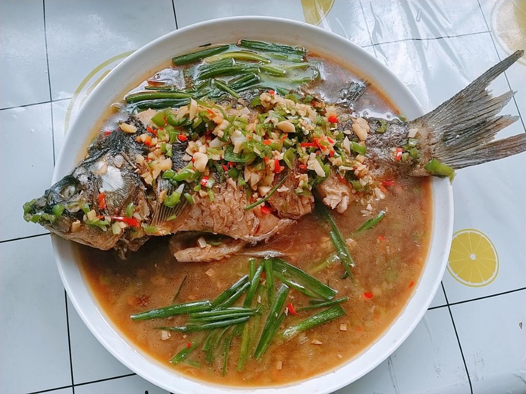 砂锅鱼🐠