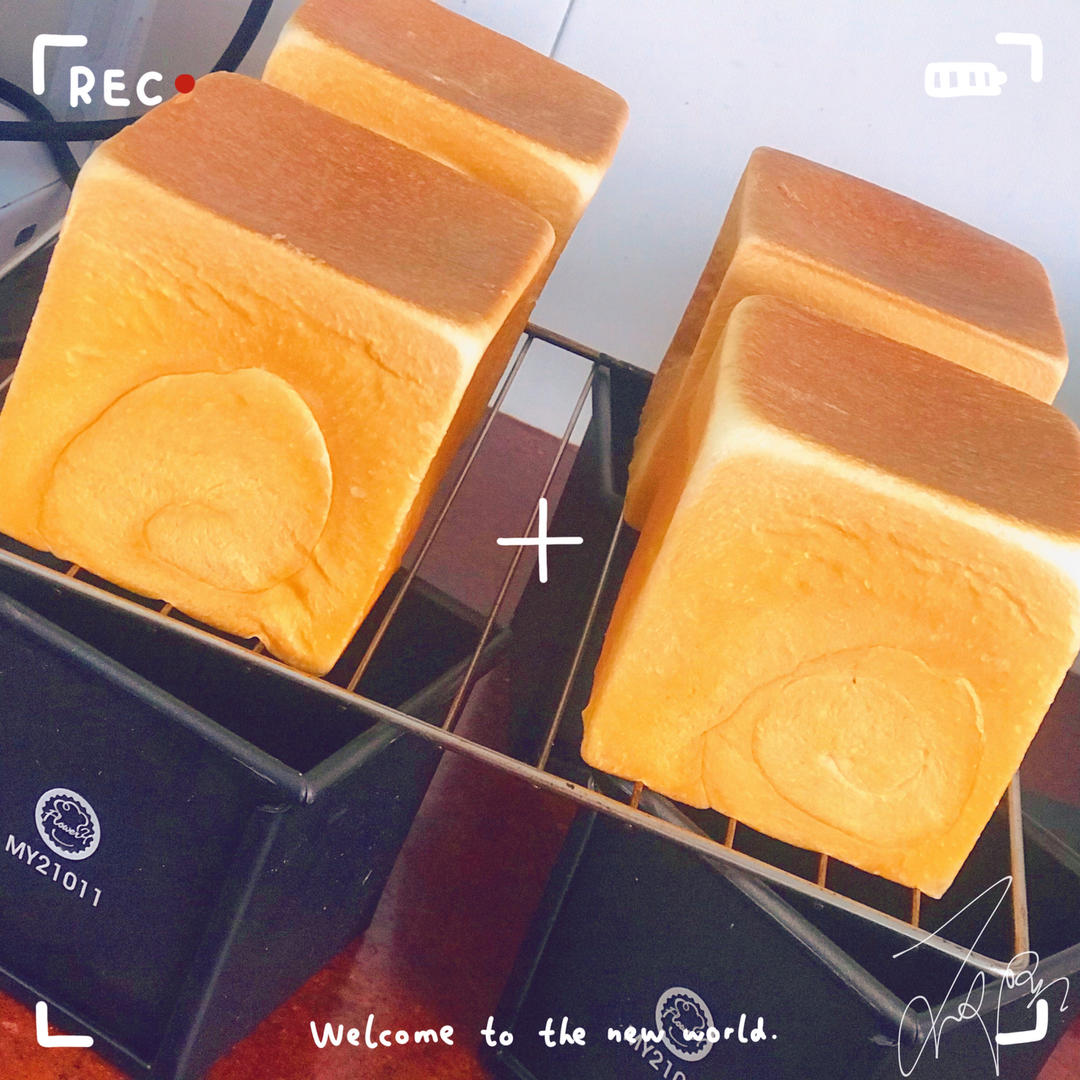 又香又白又温柔--蛋奶吐司