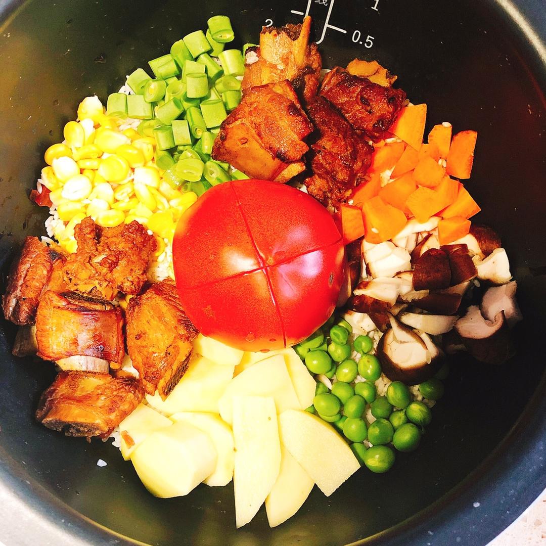 一只番茄排骨饭