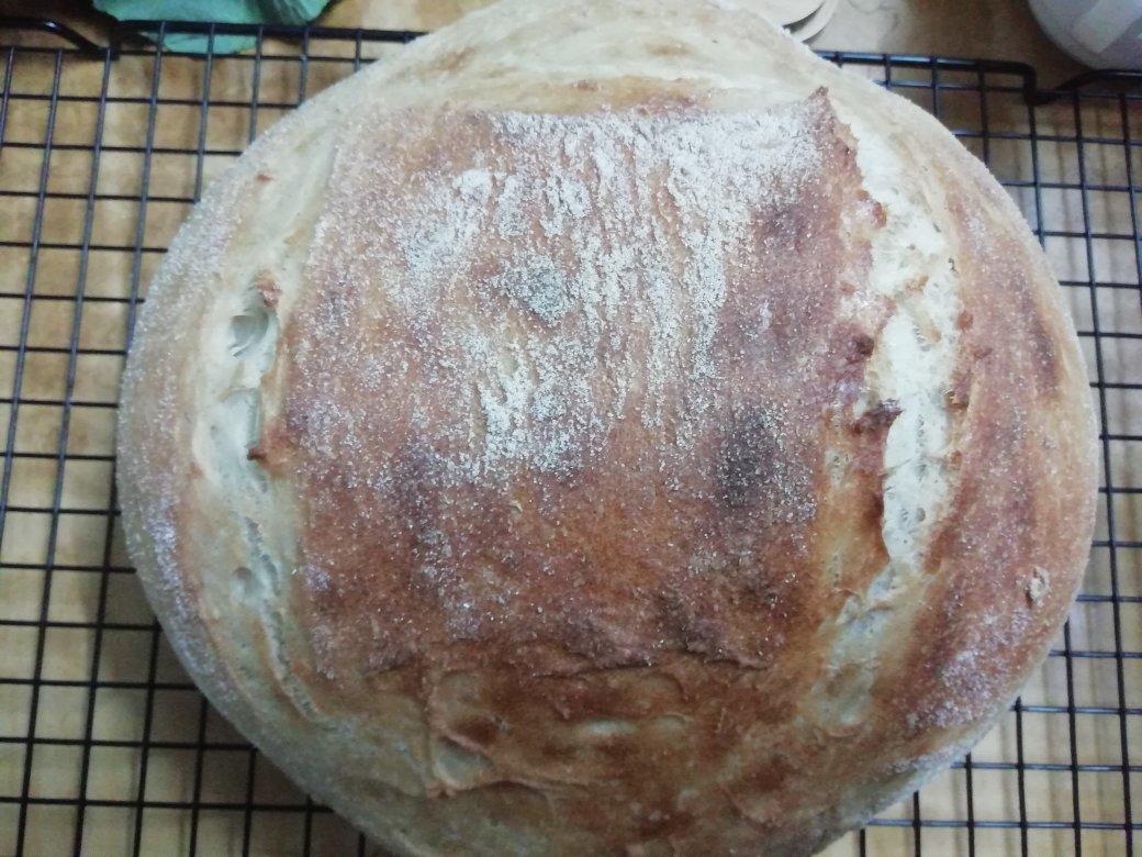 绝密！8分钟，8块钱，吃8天的正宗欧包loaf来了！