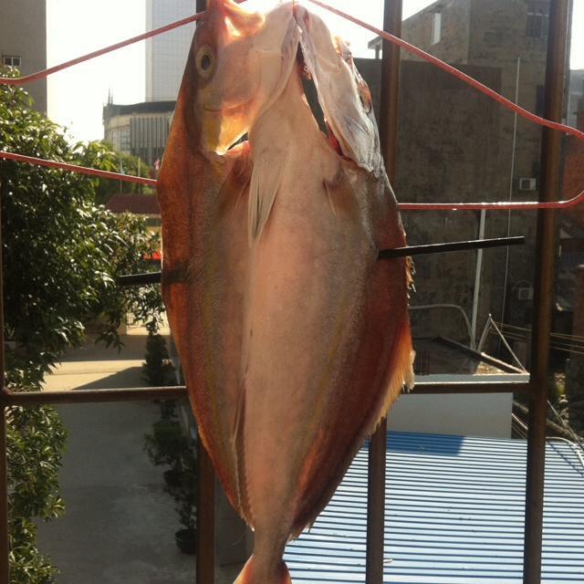 晒咸鱼的做法