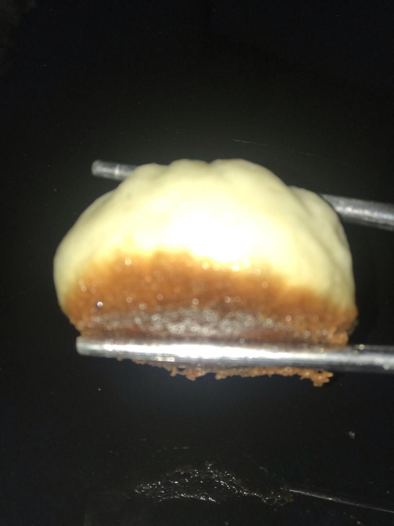 简单美味的生煎包 脆底全发酵『步骤详细』