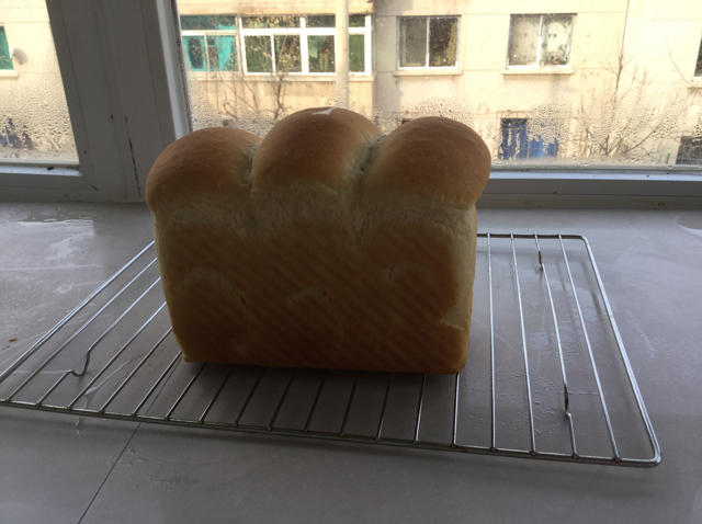 基础面包制作 Basic Bread (Loaf&Roll)