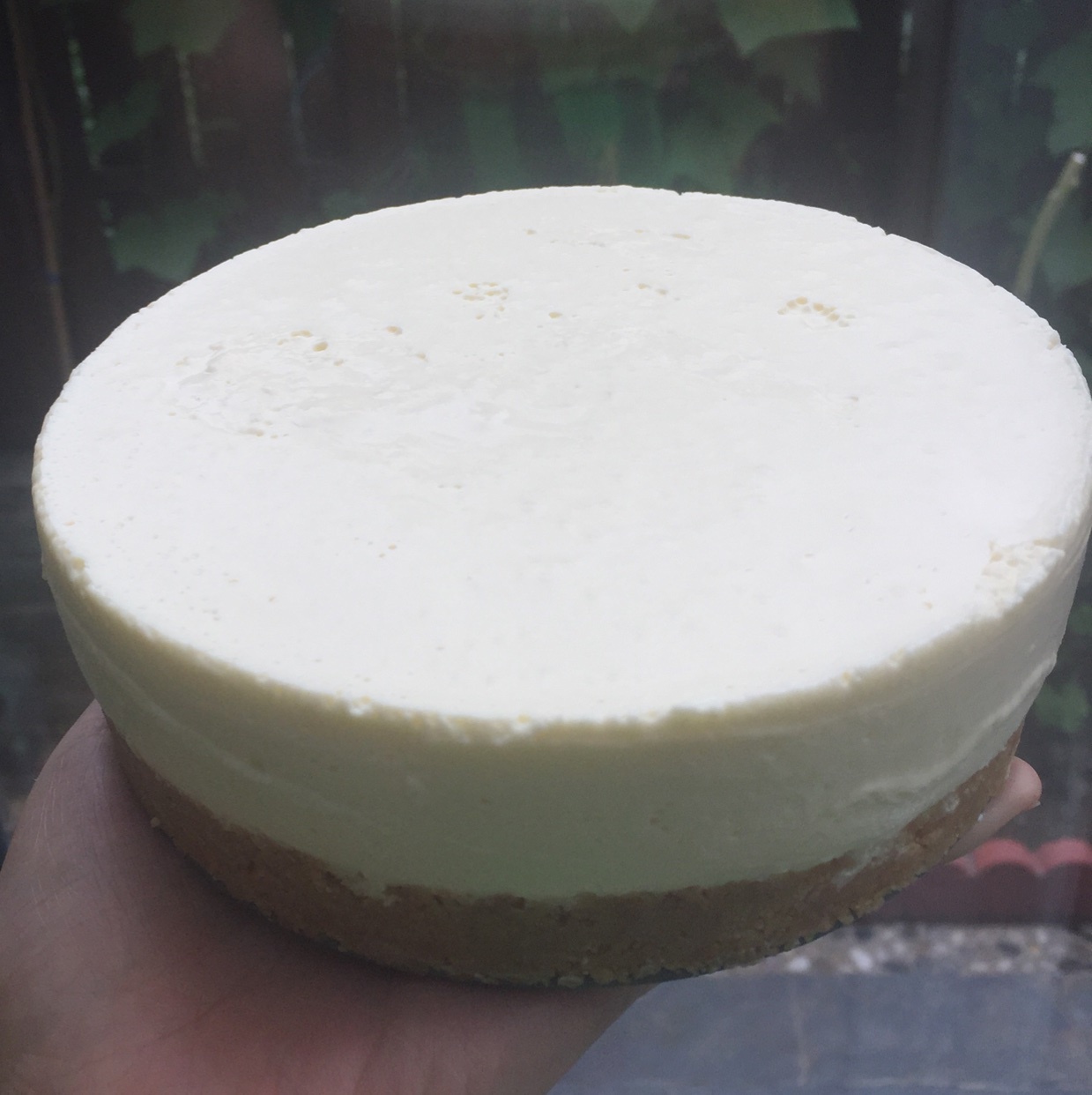 冻酸奶芝士蛋糕