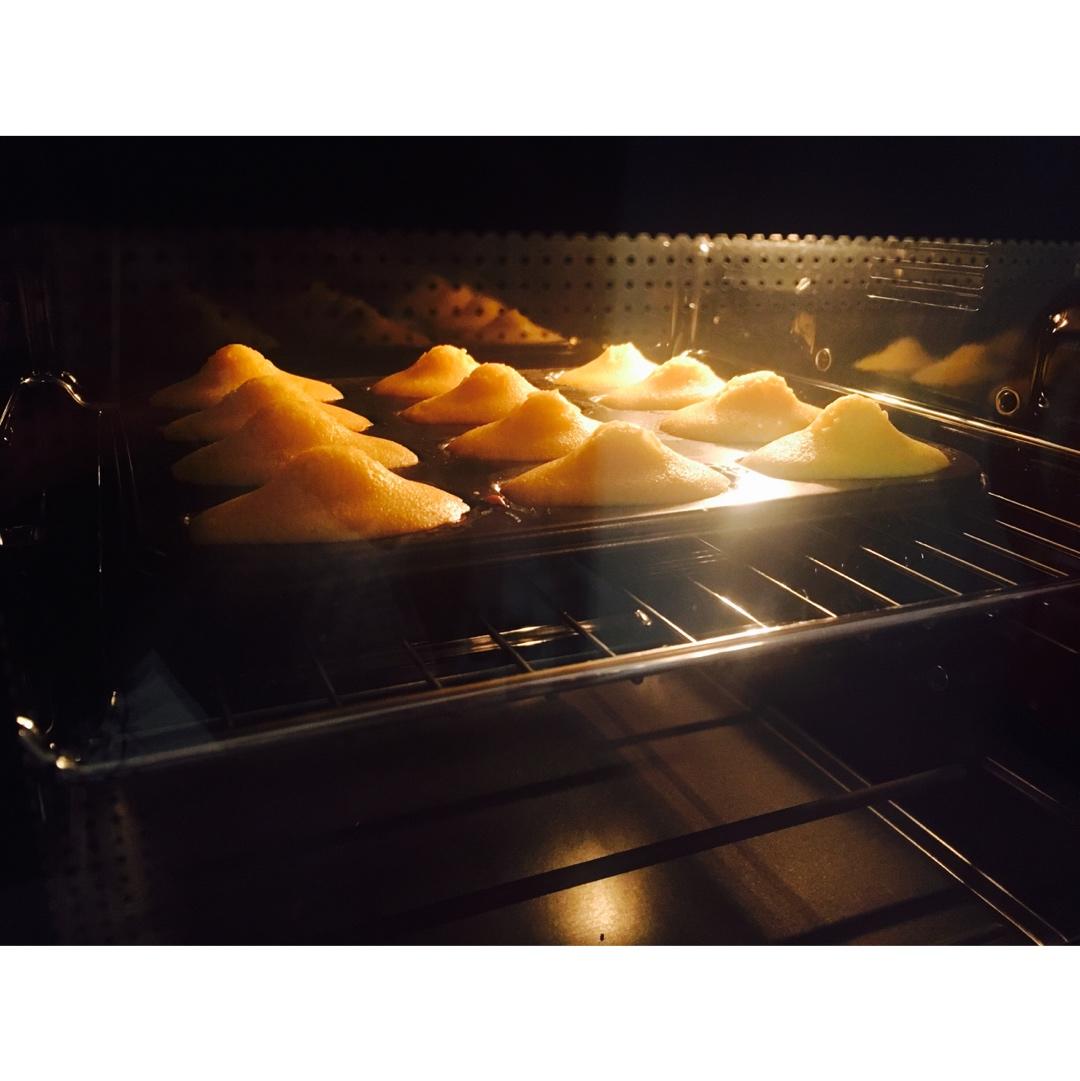 玛德琳（蓝带方）