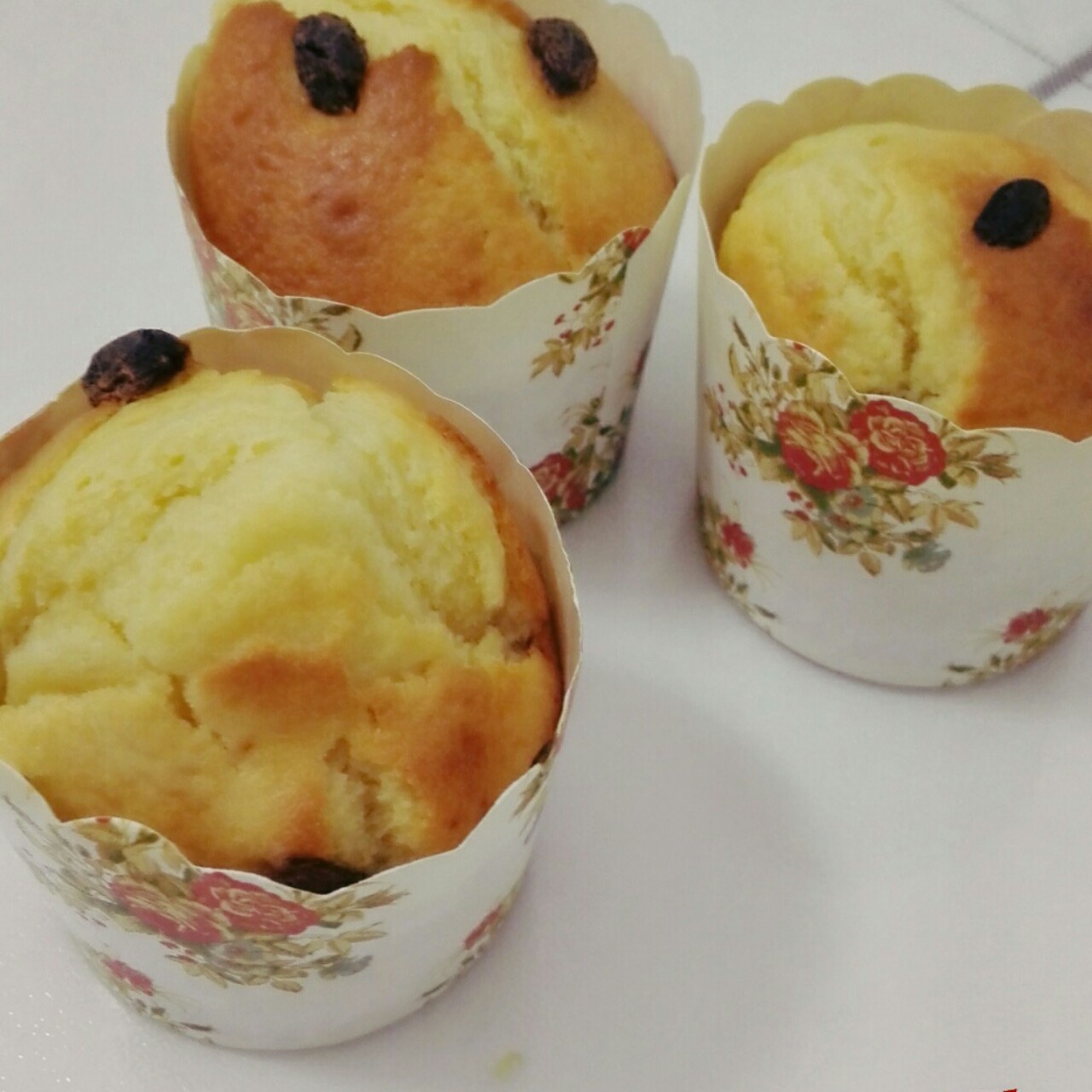 蔓越莓酸奶马芬