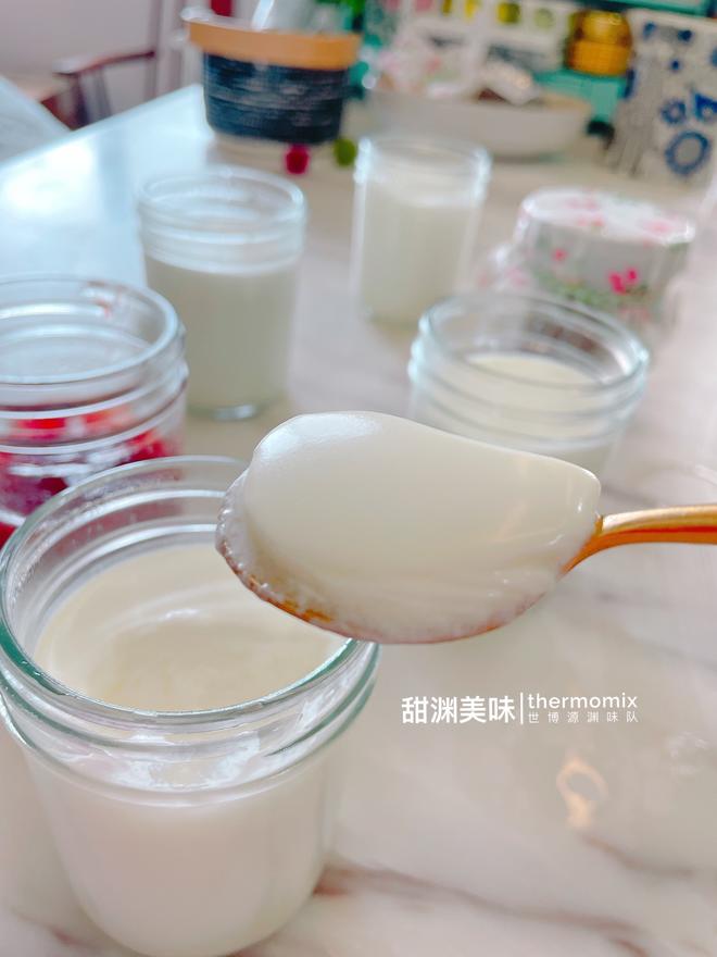 甜渊美味｜小美版原味酸奶的做法