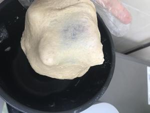 红豆香松芝麻卷（小面包）的做法 步骤2
