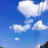 蜂蜜柚子茶zs