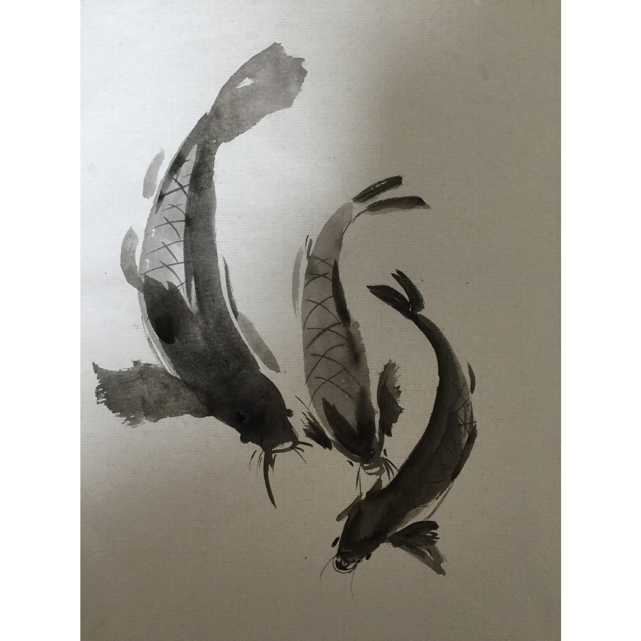 手机用户5525_9mvy