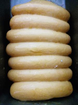 酸奶老面包（aca面包机）的做法 步骤4