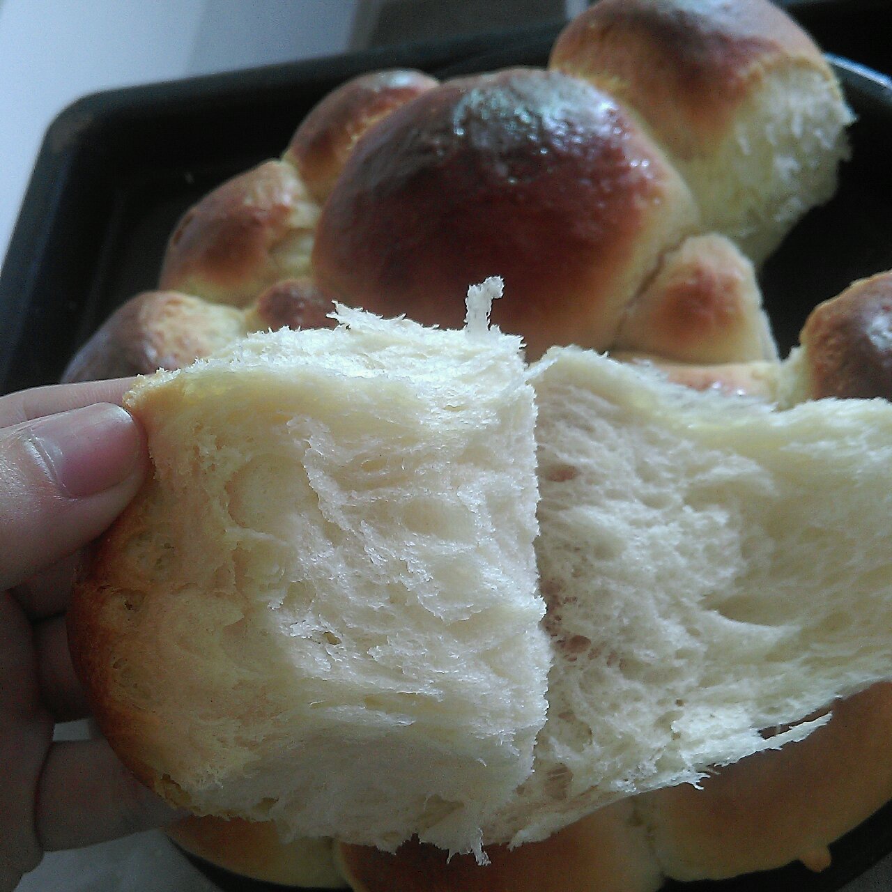 老式面包（玉米油版）