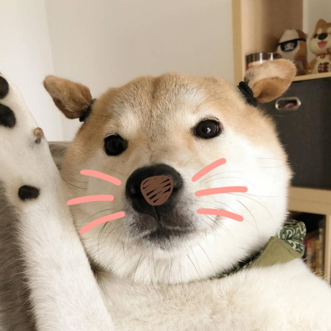 读书吃鸡腿