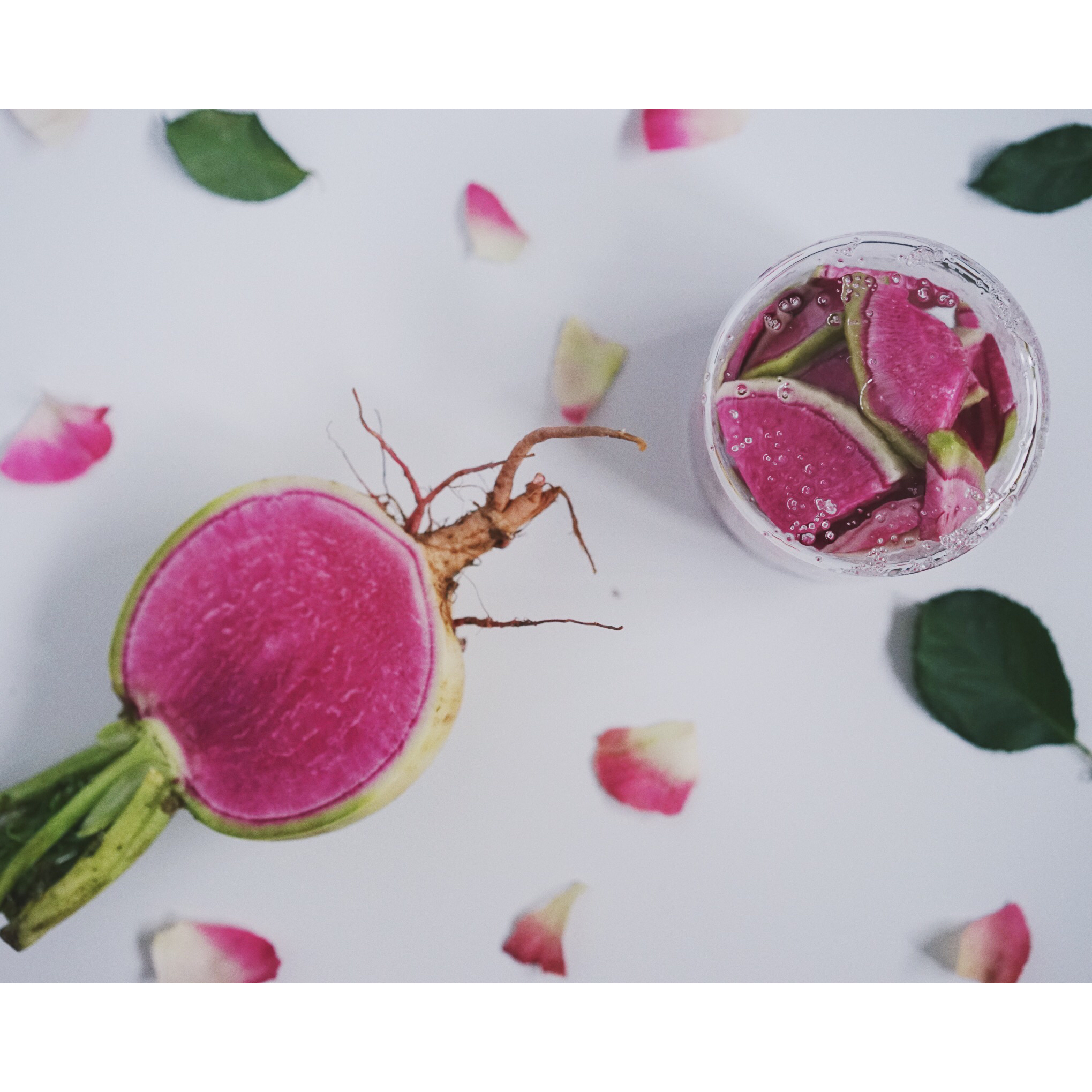 相机吃的菜哦(◍•ᴗ•◍)