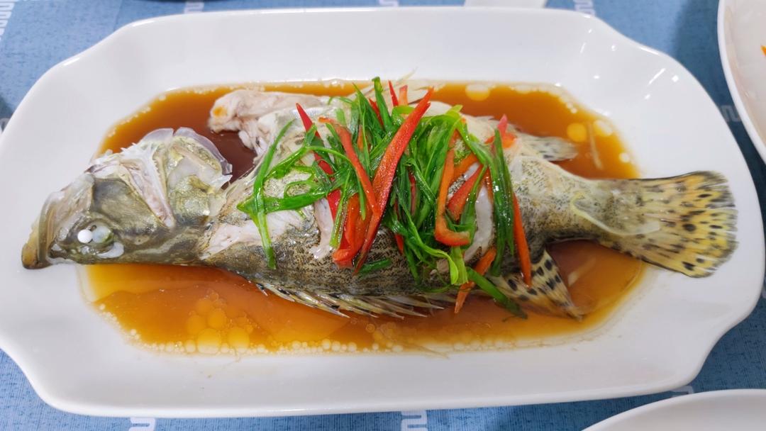 【清蒸鱼】超快速，10分钟搞定，靠它虏获老公的胃