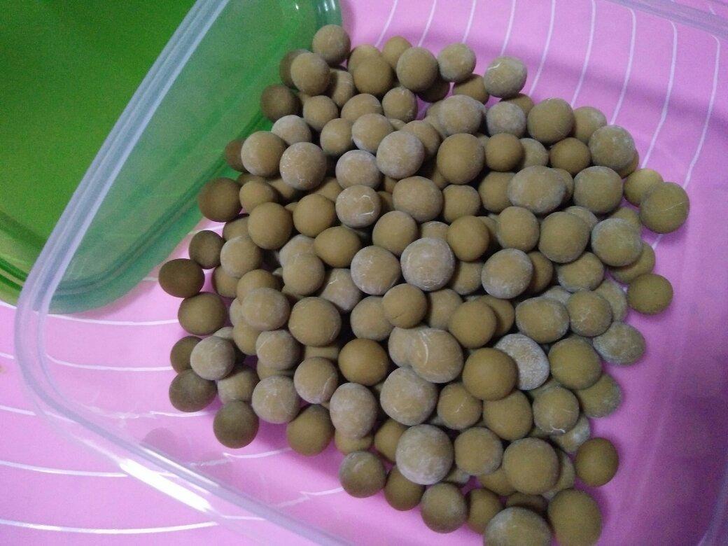 放心的珍珠