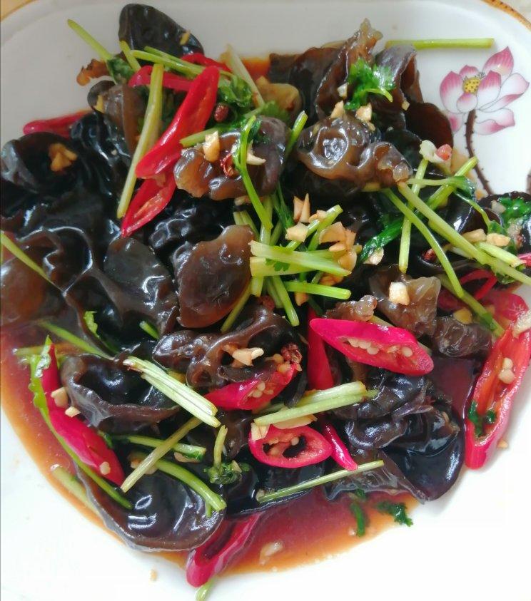 『凉拌木耳的做法，很多人忽略了这最重要的一步』