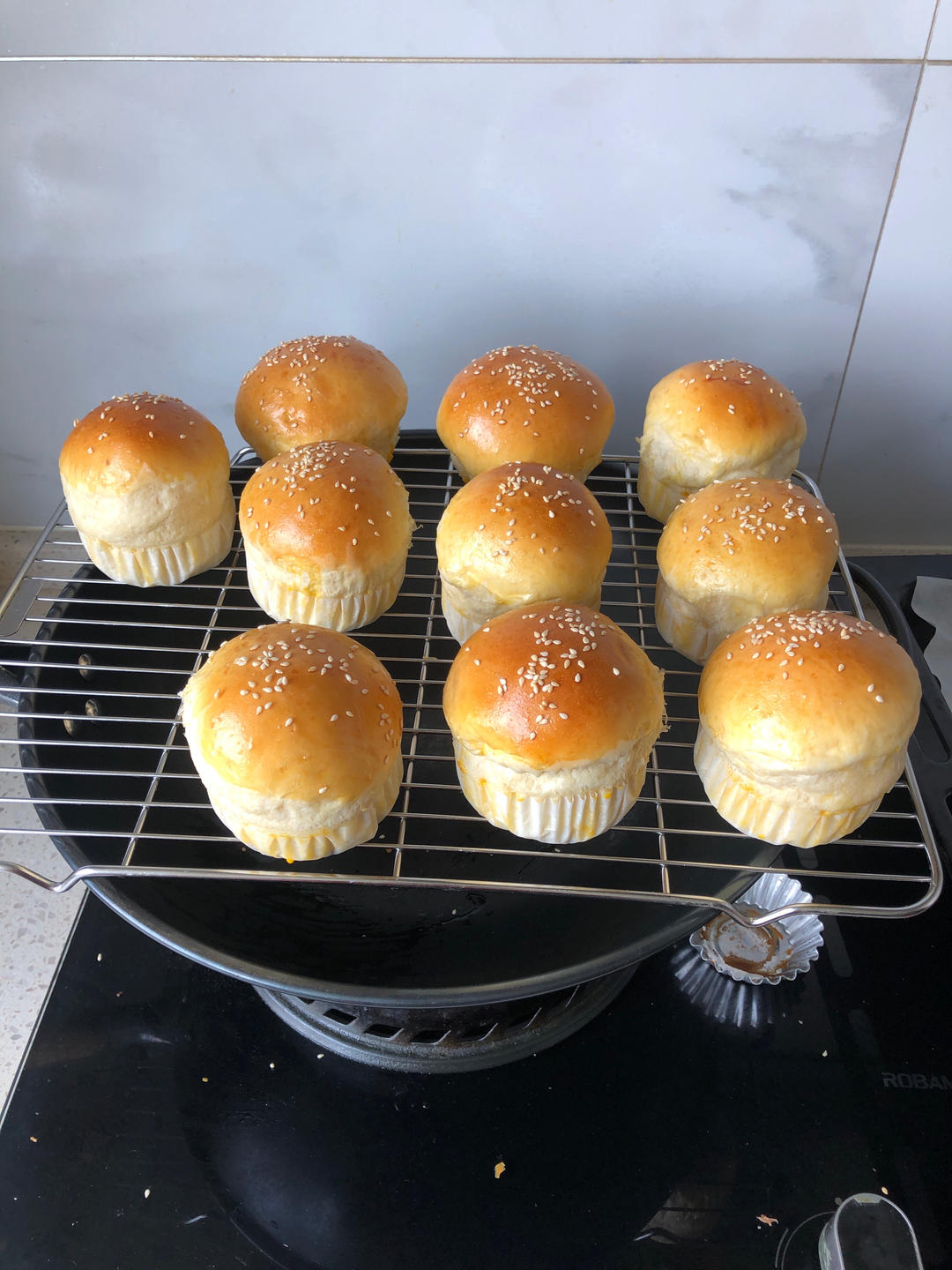 波兰种老面汉堡胚🍔