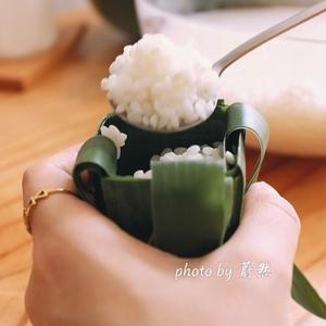 礼物盒粽子｜清水白粽的做法 步骤13