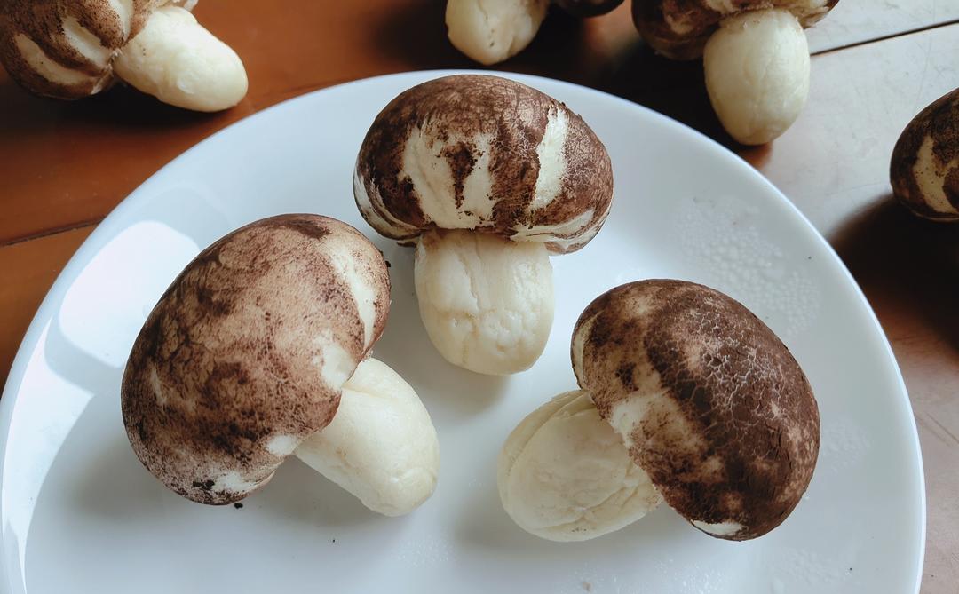 仿真香菇包的做法