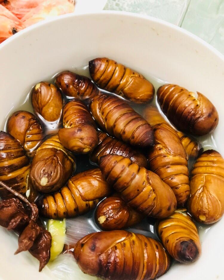 盐水煮蚕蛹