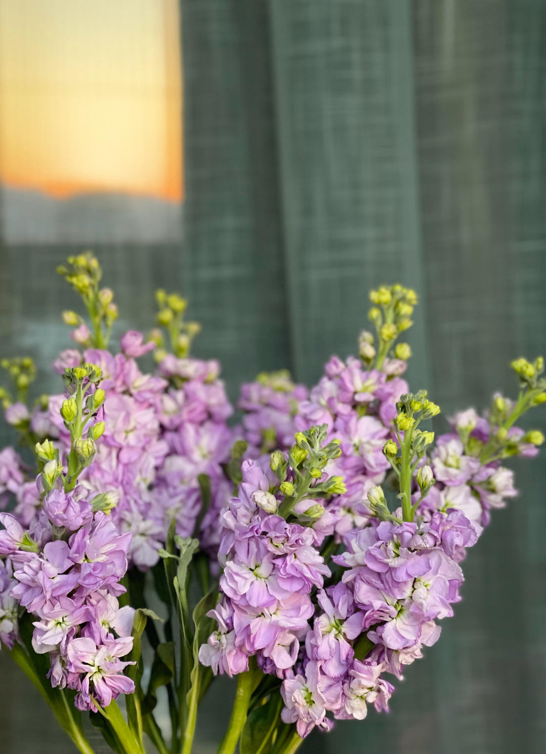 我的花花世界………