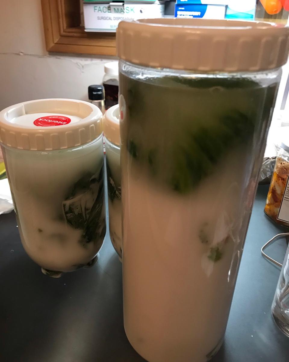 老祖宗的腌制酸菜方法（酸菜做法）