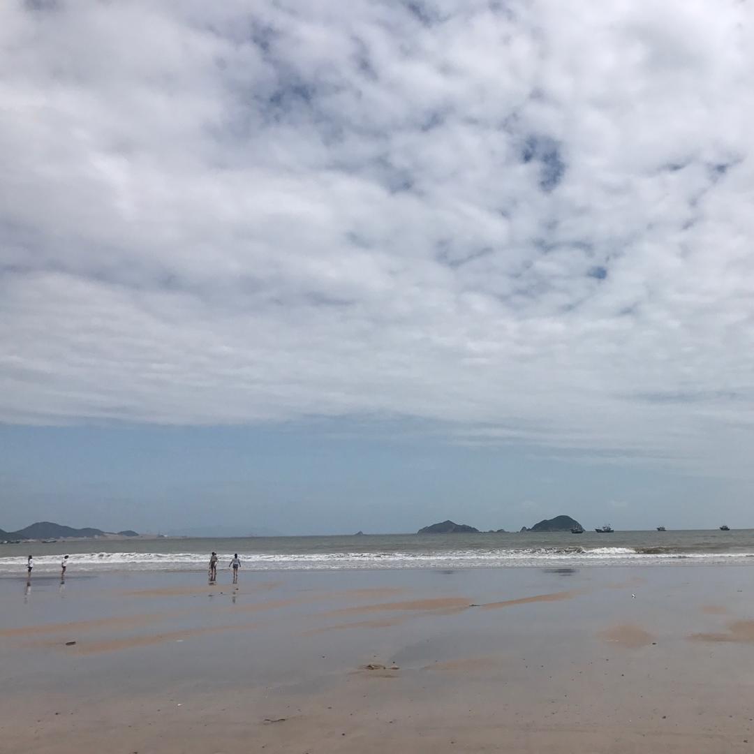茶味觉醒