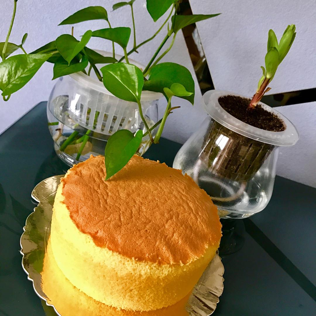 6寸戚风蛋糕（2蛋）