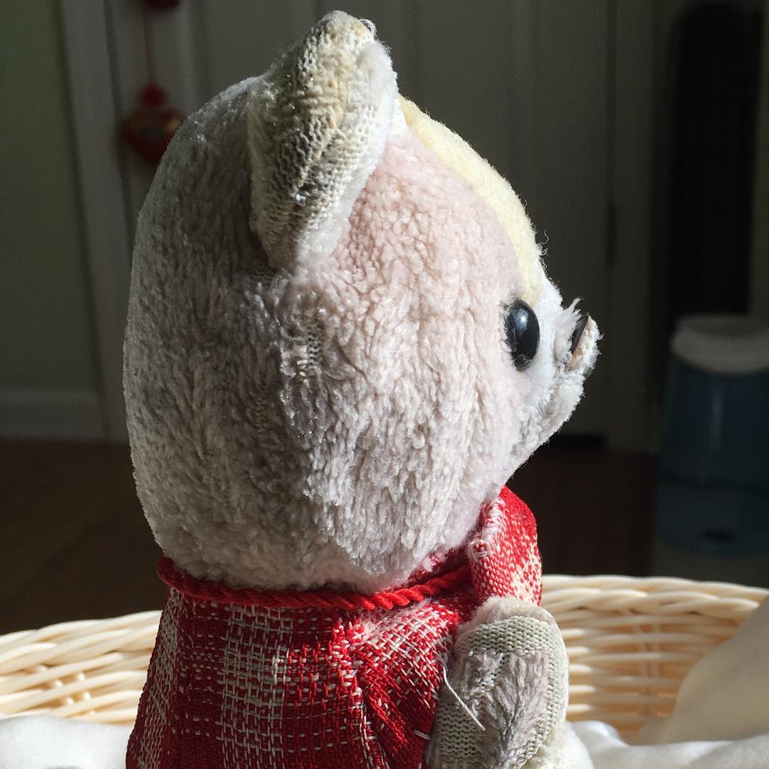 Sorabear