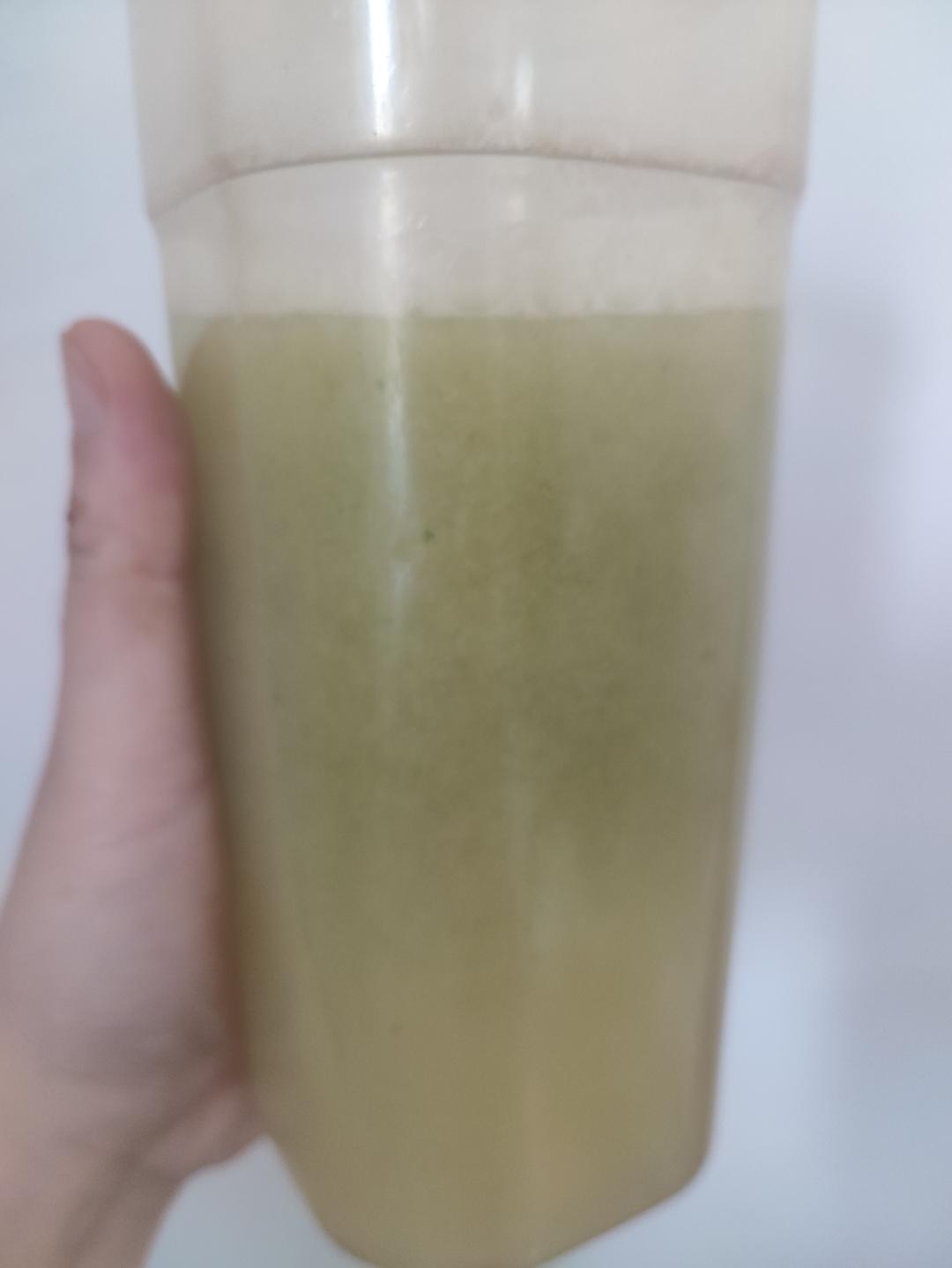 巨排毒❗好喝的芹菜汁 | 便秘克星