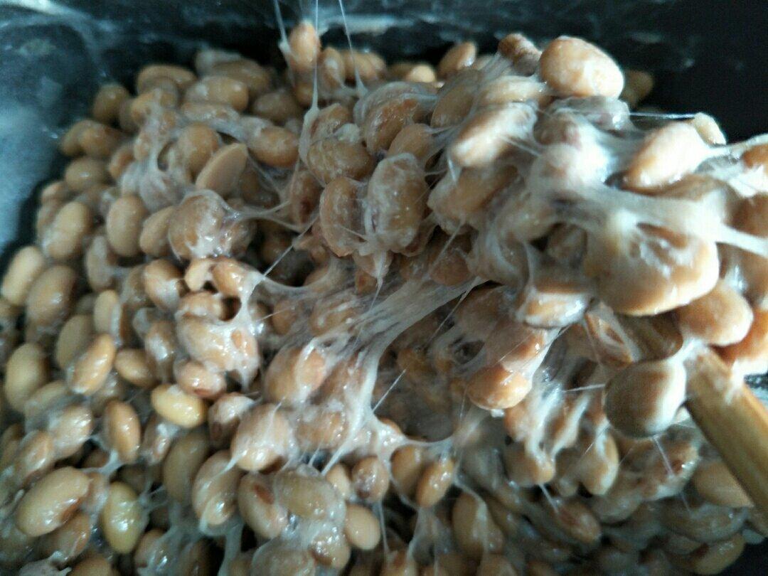 自制纳豆（酸奶机，面包机，烤箱版）