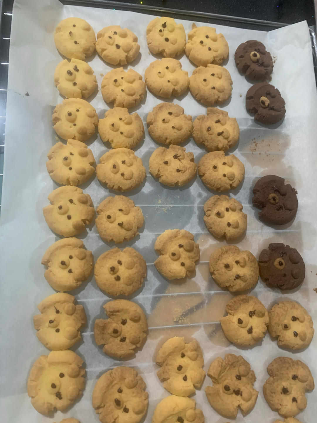 玛格丽特小熊饼干🐻