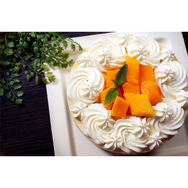 灯灯的美丽蛋糕们