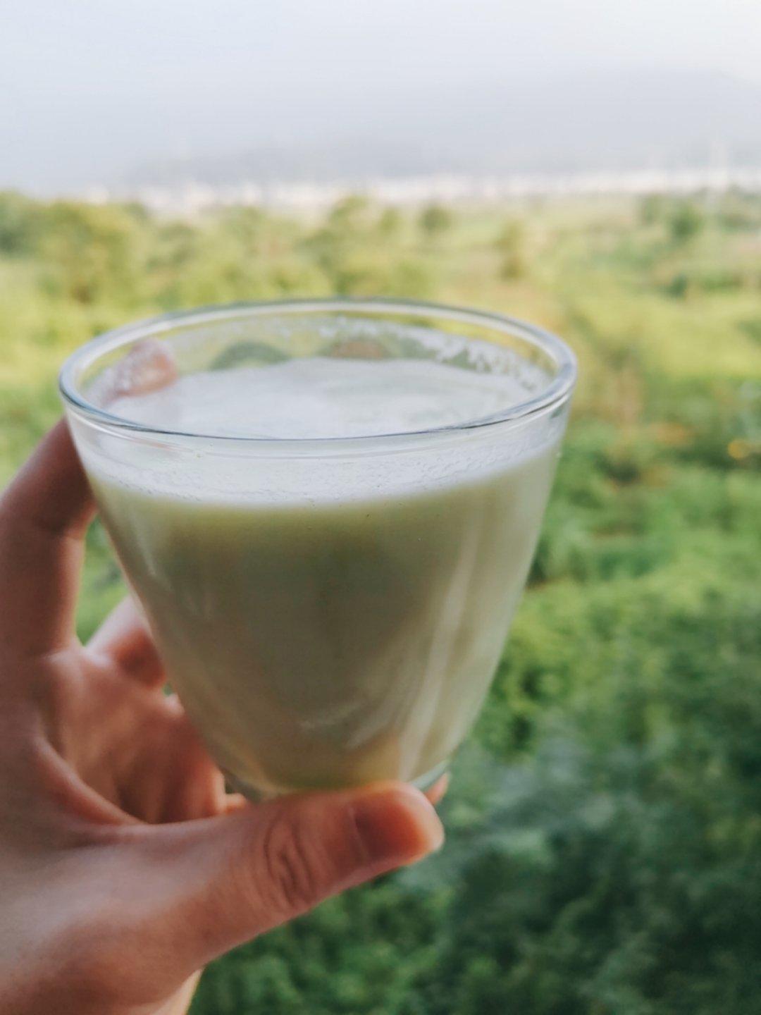 黄瓜奶香燕麦豆浆