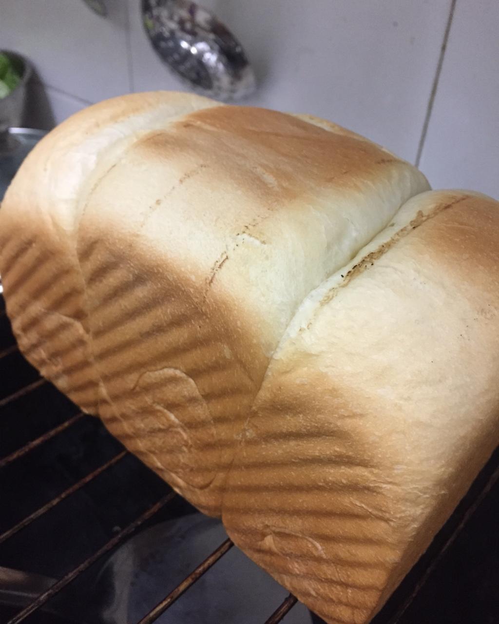 夺命软吐司(๑´ڡ`๑)超软拉丝极速方便的一次发酵吐司