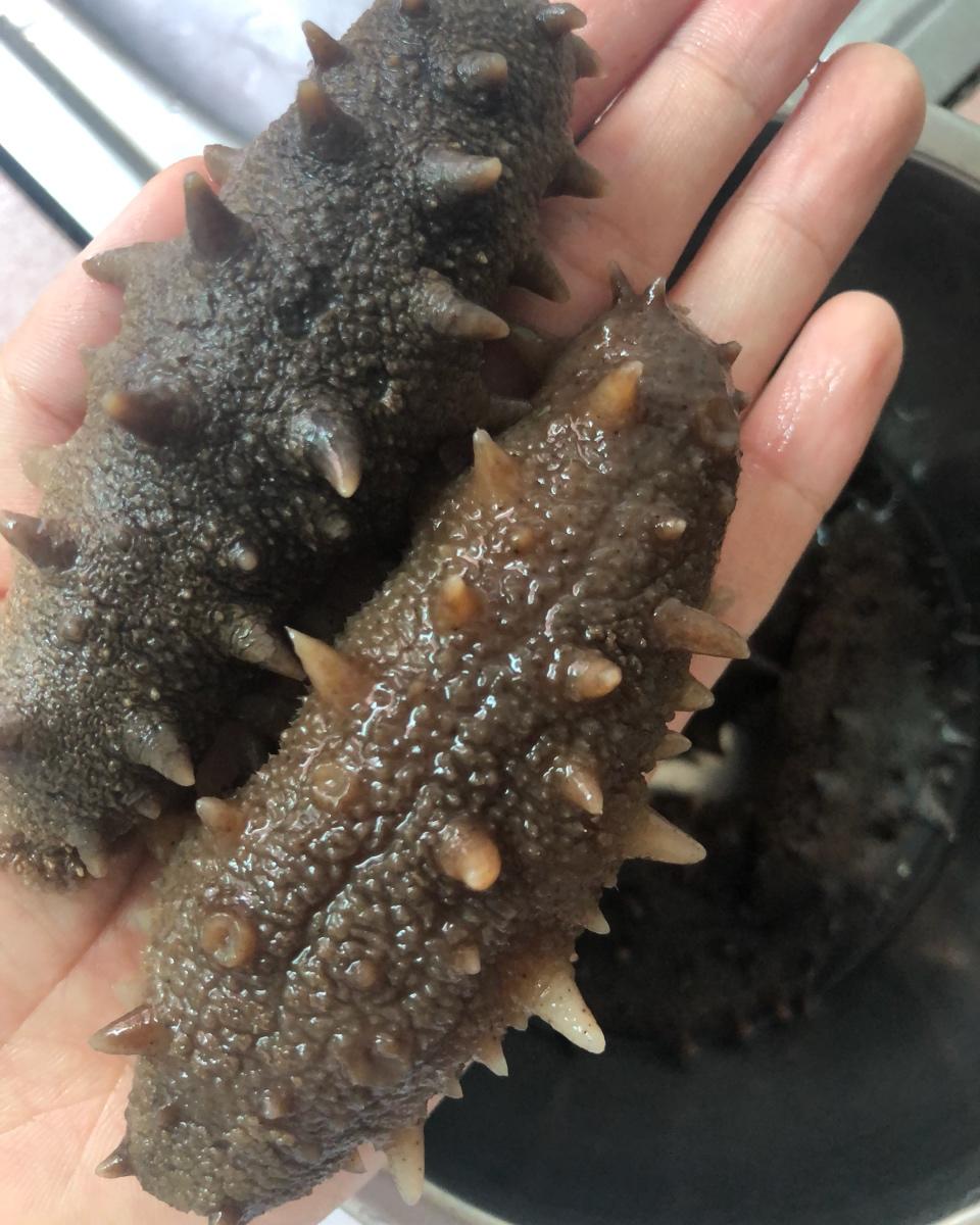 泡发海参的方法