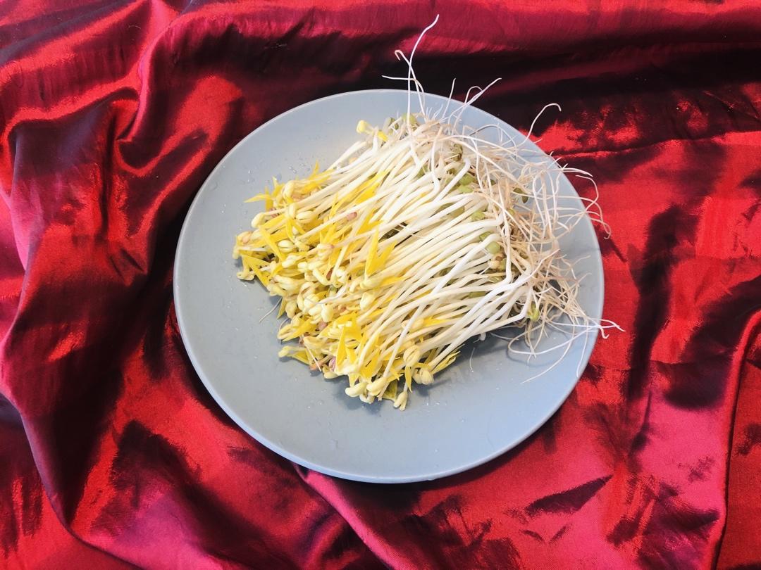 零失败无机器发豆芽（不发霉）