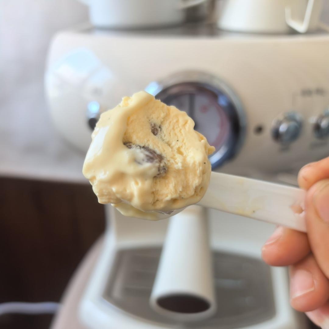 朗姆黑加仑冰淇淋 Rum Raisin Ice cream