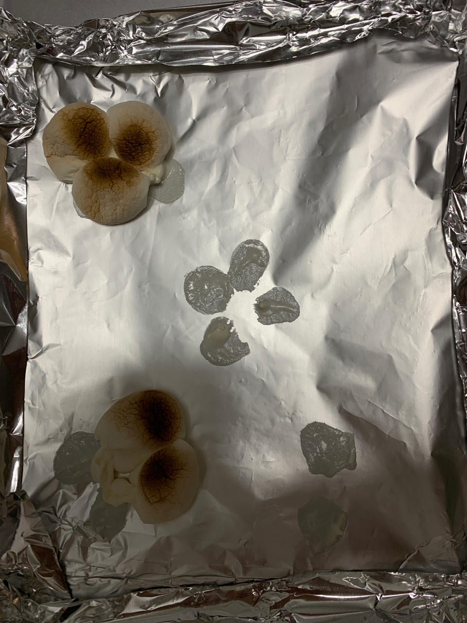 烤棉花糖